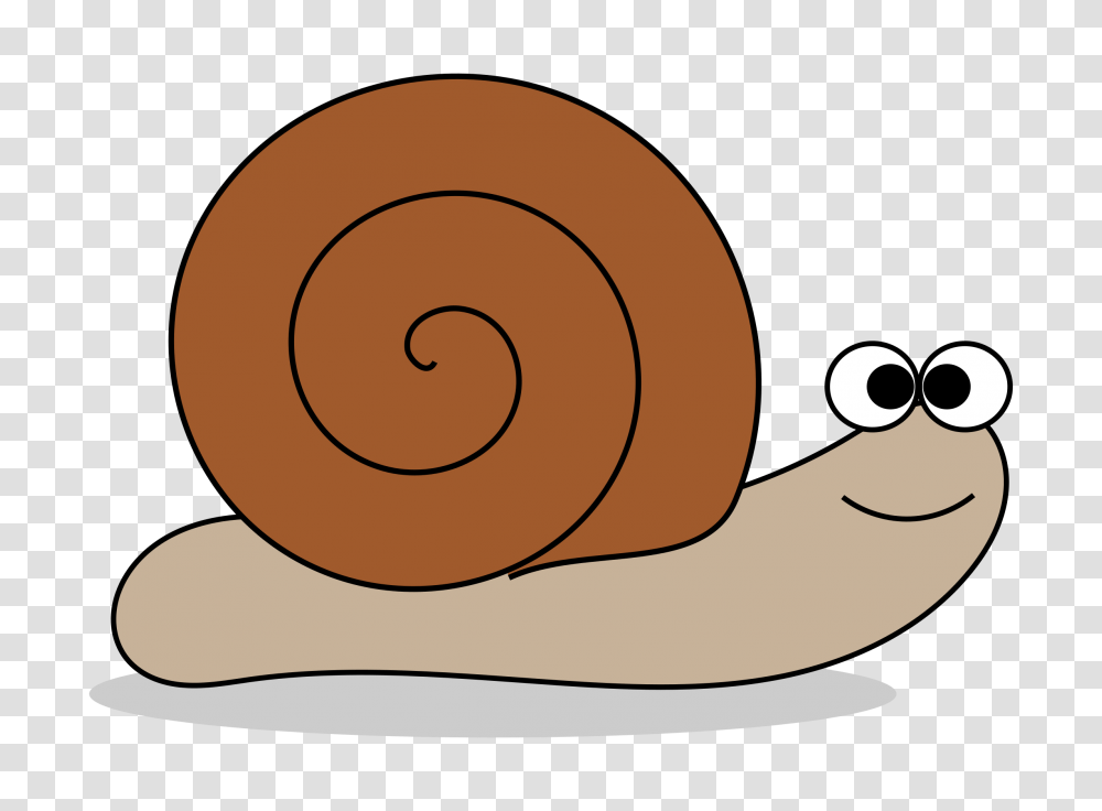 September Clipart Group With Items, Snail, Invertebrate, Animal, Sunglasses Transparent Png