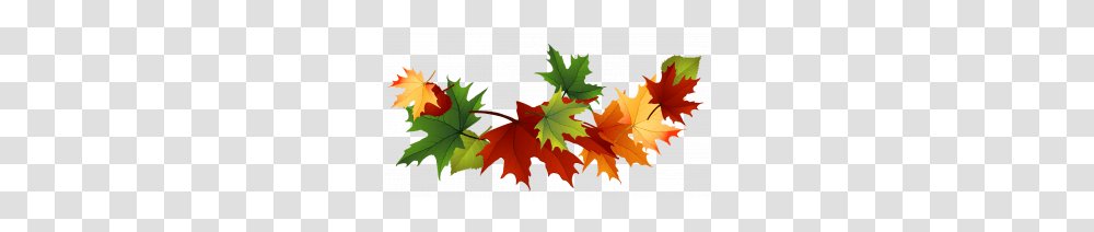 September Lowrey School, Leaf, Plant, Maple Leaf, Tree Transparent Png