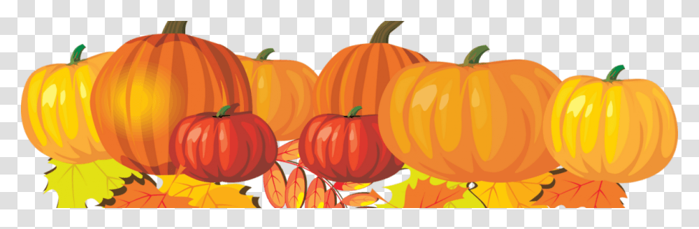 September, Pumpkin, Vegetable, Plant, Food Transparent Png