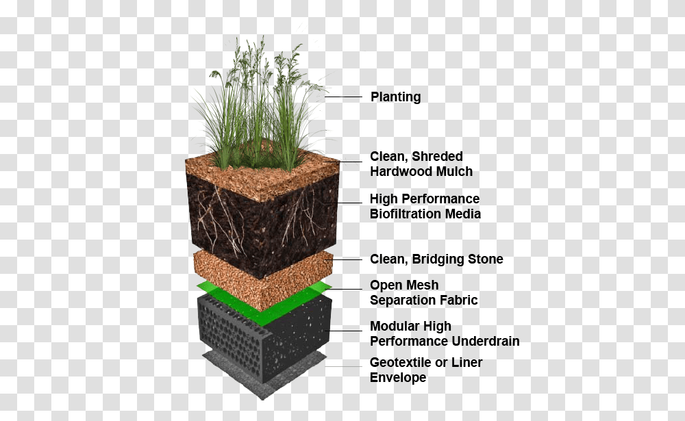 Sequential Sedimentation Biofiltration System, Plant, Soil, Grass, Tree Transparent Png
