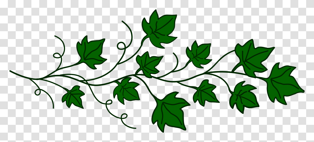 Serenity Clipart Leaf Vine, Plant, Green, Painting Transparent Png