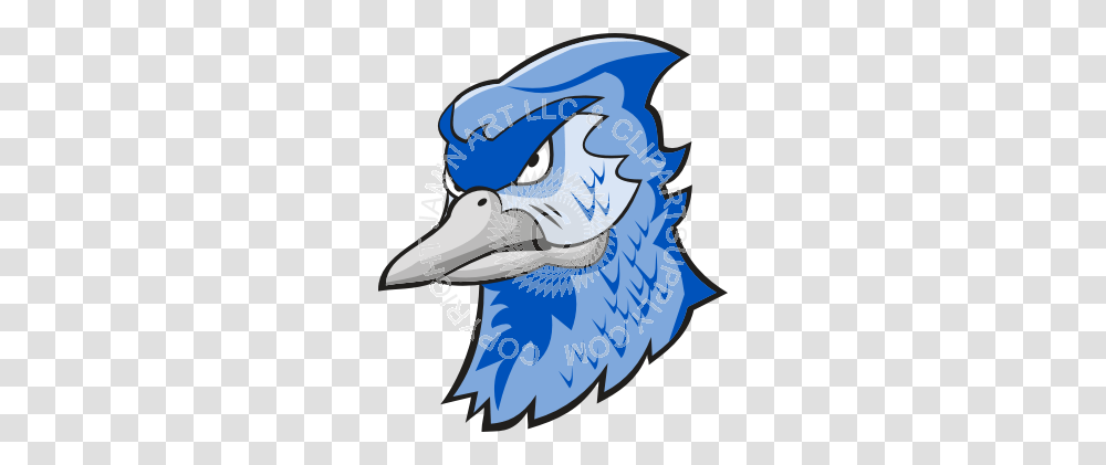 Serious Blue Jay Head, Bird, Animal, Waterfowl, Beak Transparent Png