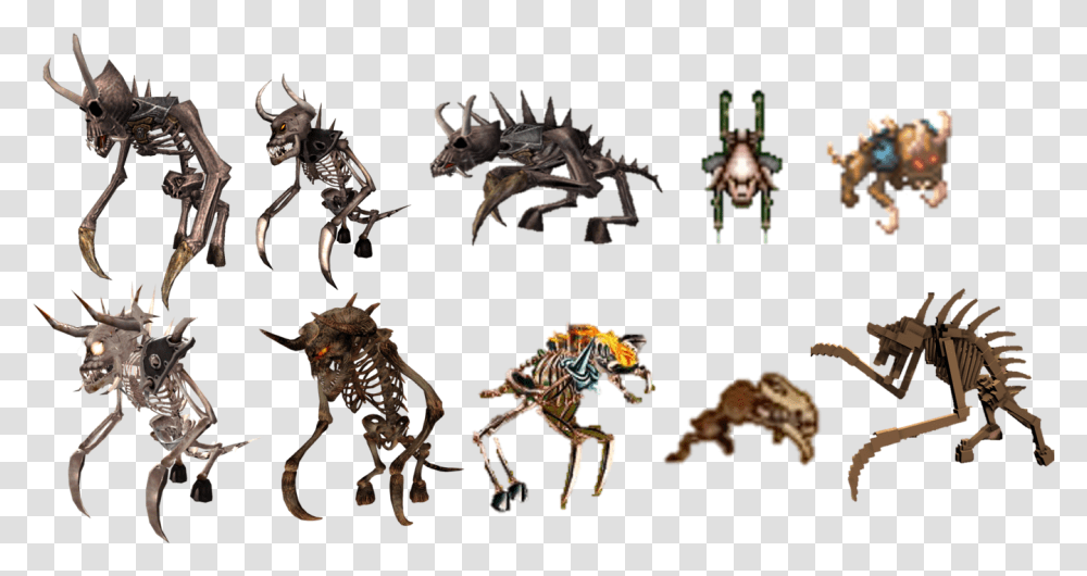 Serious Sam Kleer Skeleton, Spider, Invertebrate, Animal, Arachnid Transparent Png