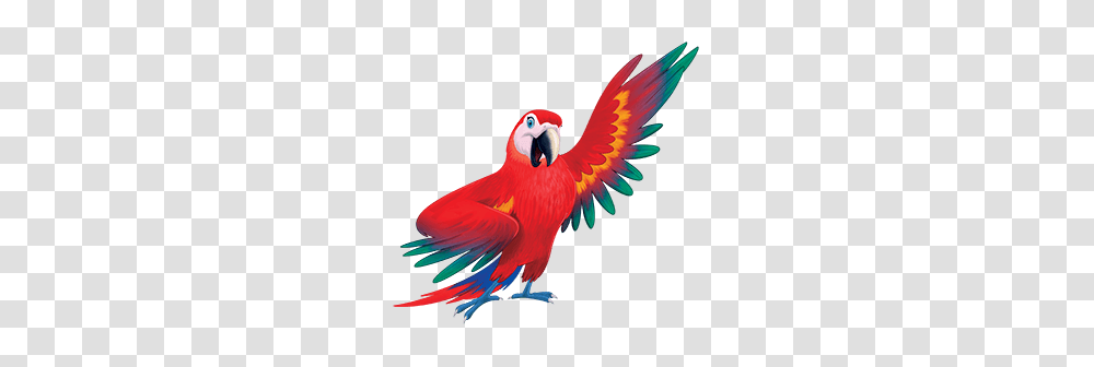 Sermons Httpsnorthmanchesterfbc Files, Bird, Animal, Macaw, Parrot Transparent Png