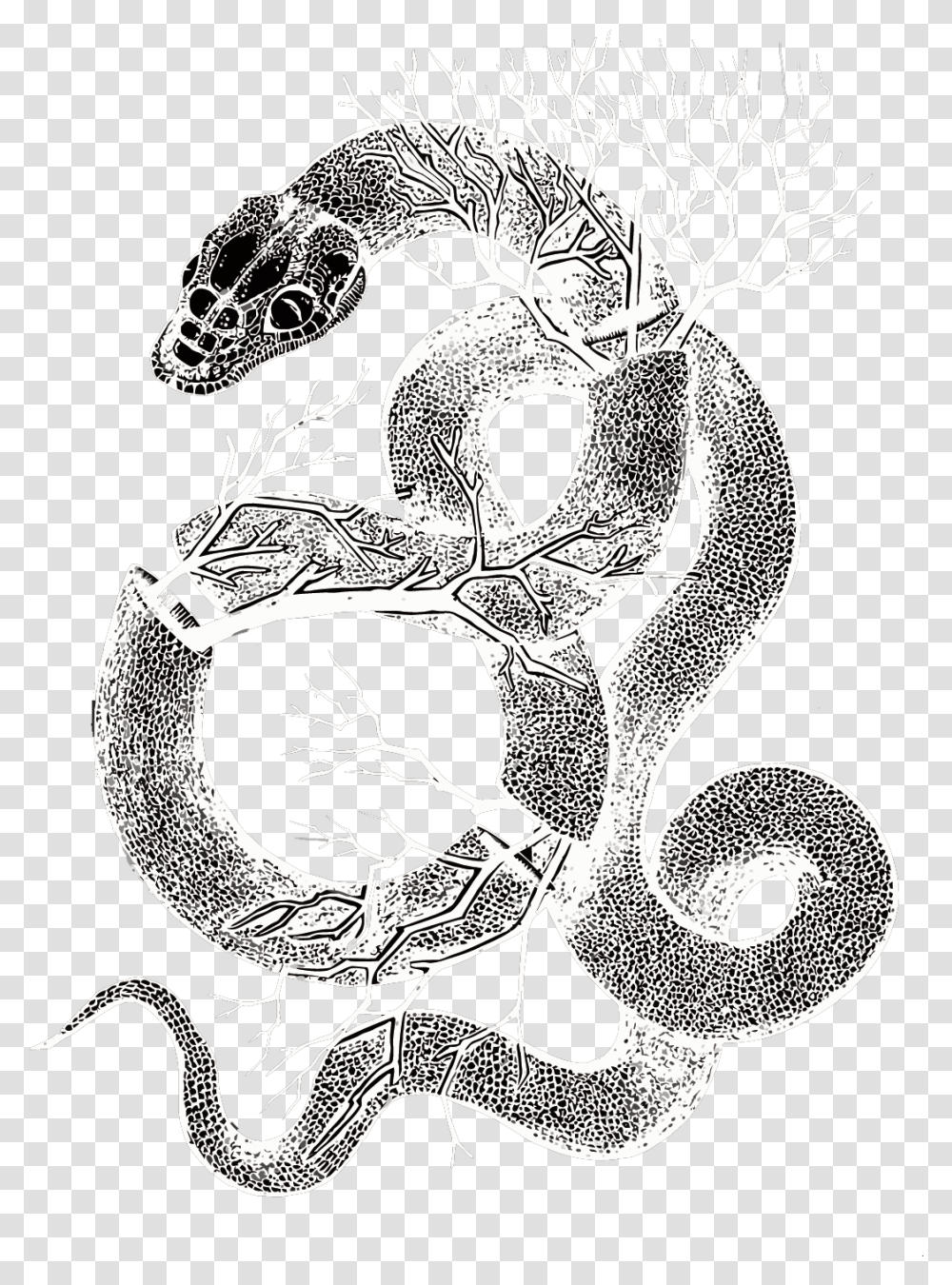 Serpent Clipart Visual Arts, Alphabet, Drawing, Doodle Transparent Png