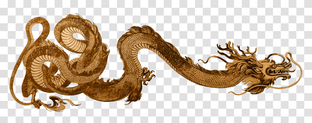 Serpent, Dragon, Snake, Reptile, Animal Transparent Png