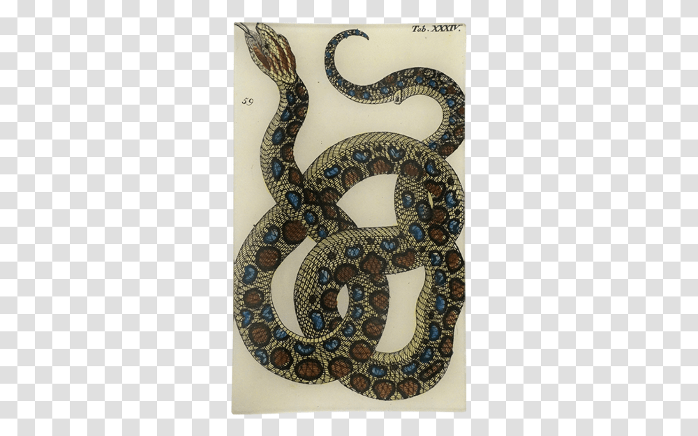 Serpent, Rug, Reptile, Animal, Snake Transparent Png