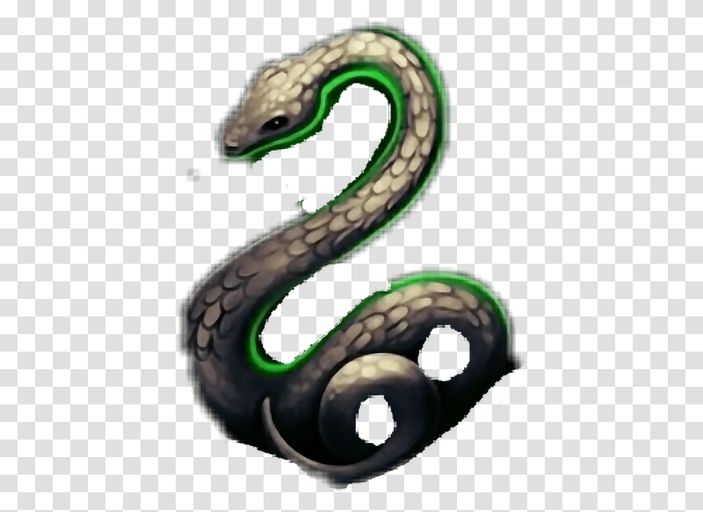 Serpiente Slytherin Serpent, Dragon, Snake, Reptile, Animal Transparent Png