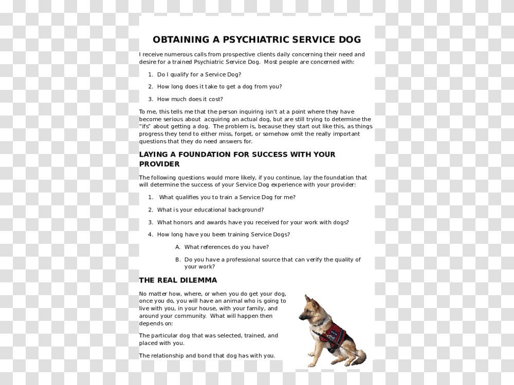 Service Dog, Advertisement, Canine, Animal, Mammal Transparent Png