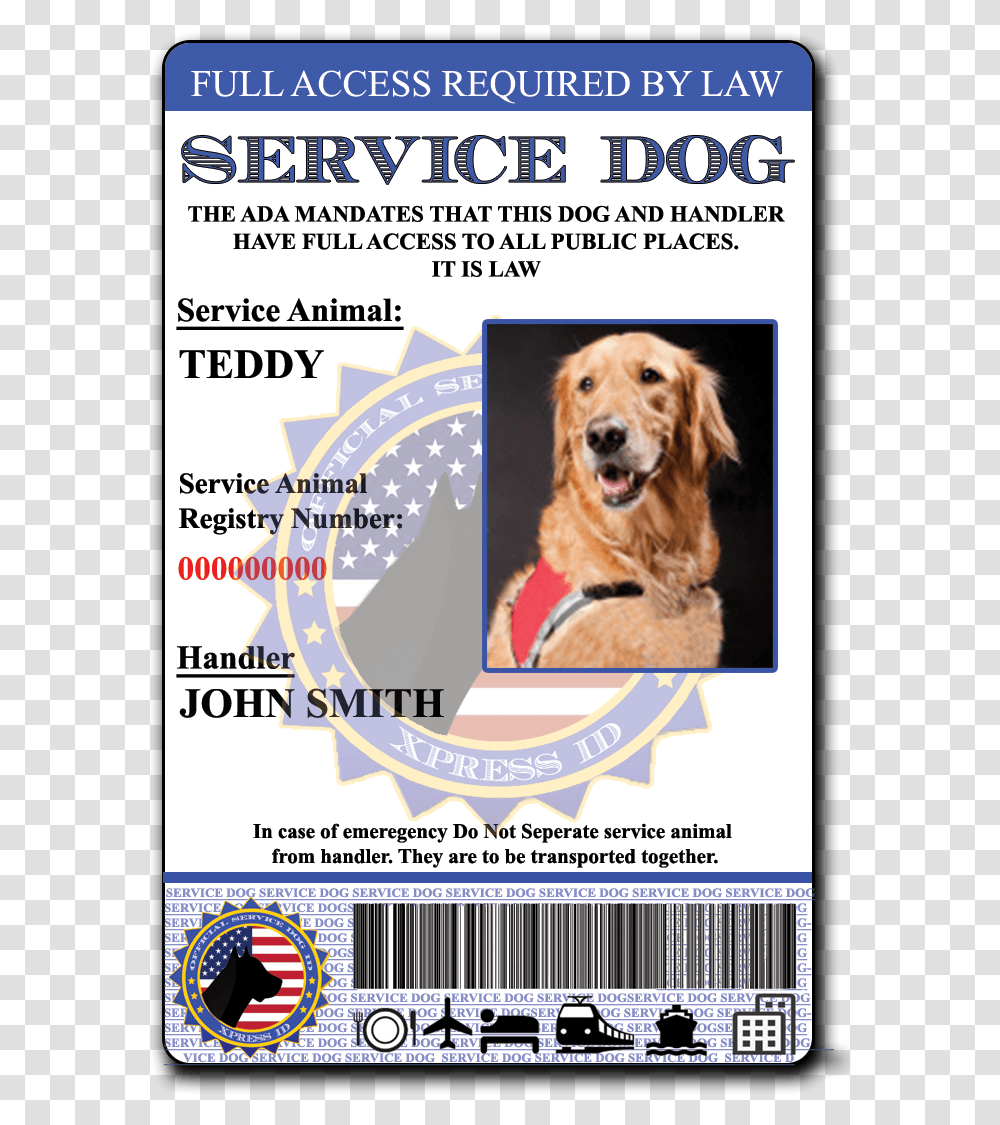 Service Dog, Advertisement, Poster, Pet, Canine Transparent Png