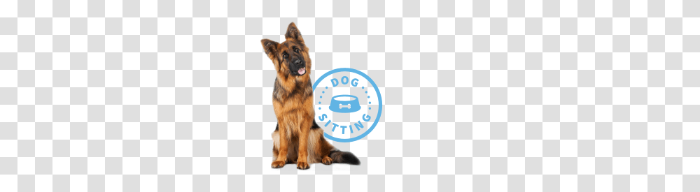 Services Fairytails Pet Sitting Dog Walking San Antonio, German Shepherd, Canine, Animal, Mammal Transparent Png