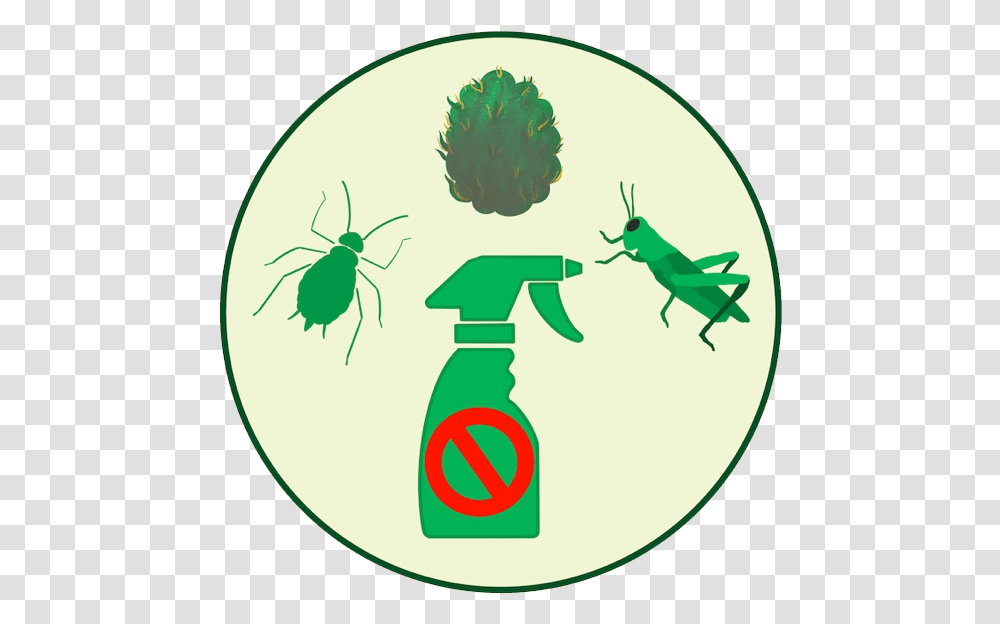 Services Highgrade Labs Fly, Animal, Insect, Invertebrate, Green Transparent Png