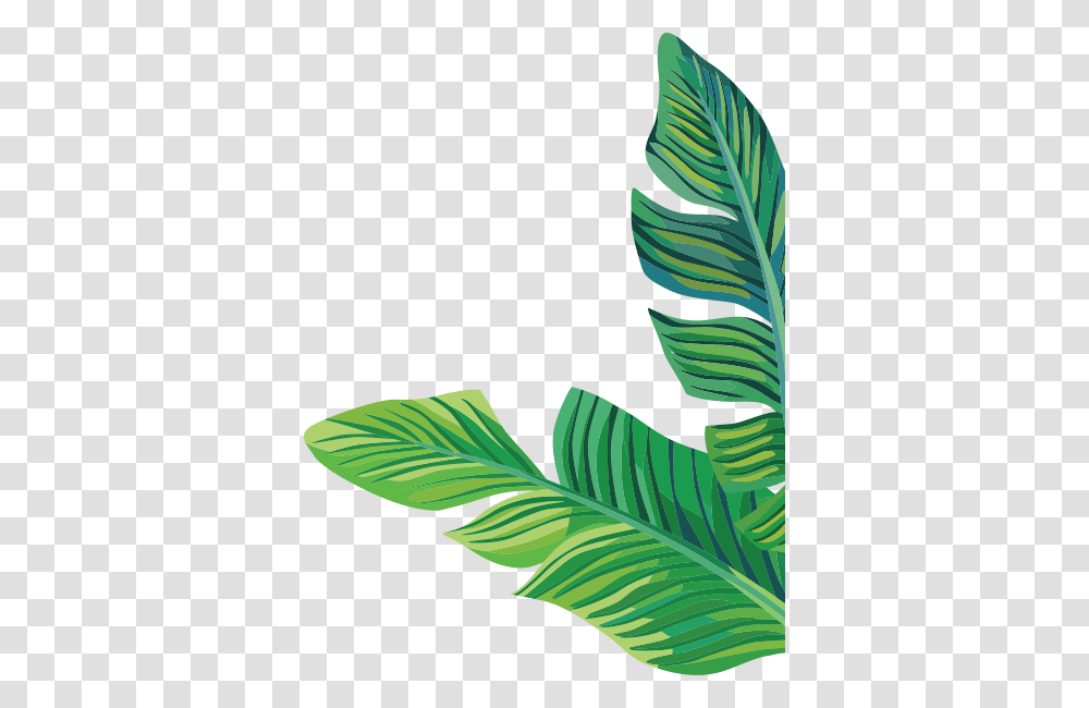 Services Myolab, Leaf, Plant, Green, Flower Transparent Png