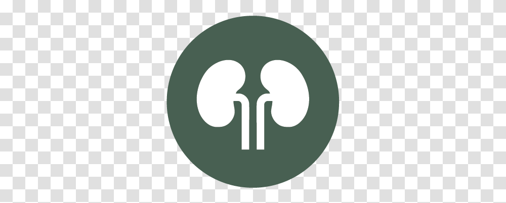 Services Rocky Mountain Kidney Care Dot, Symbol, Sign, Moon, Outer Space Transparent Png