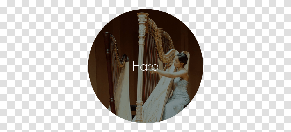 Services - Eventos Musicaispro Classical Music, Person, Human, Musical Instrument, Harp Transparent Png