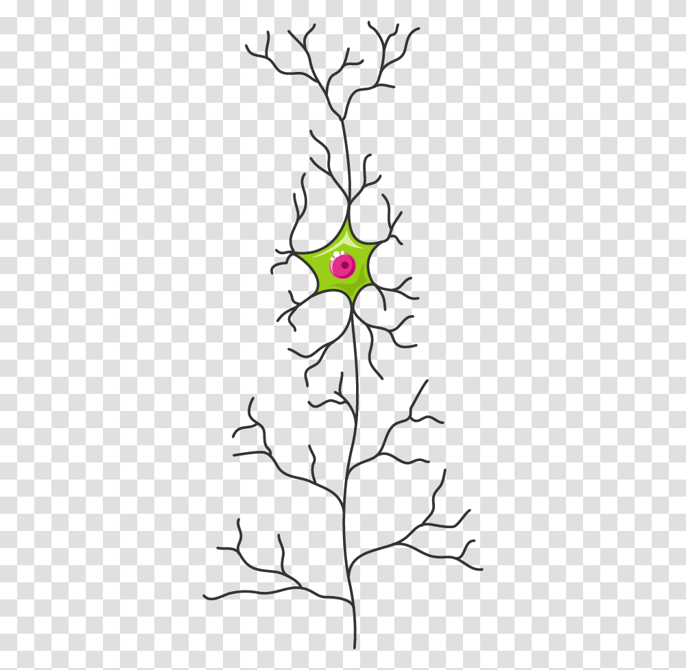 Servier Medical Art Neuron, Plant, Tree, Ornament, Root Transparent Png