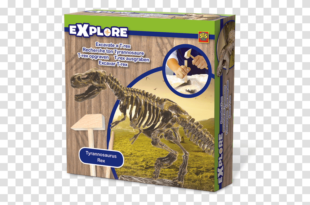 Ses Explore, Dinosaur, Reptile, Animal, T-Rex Transparent Png