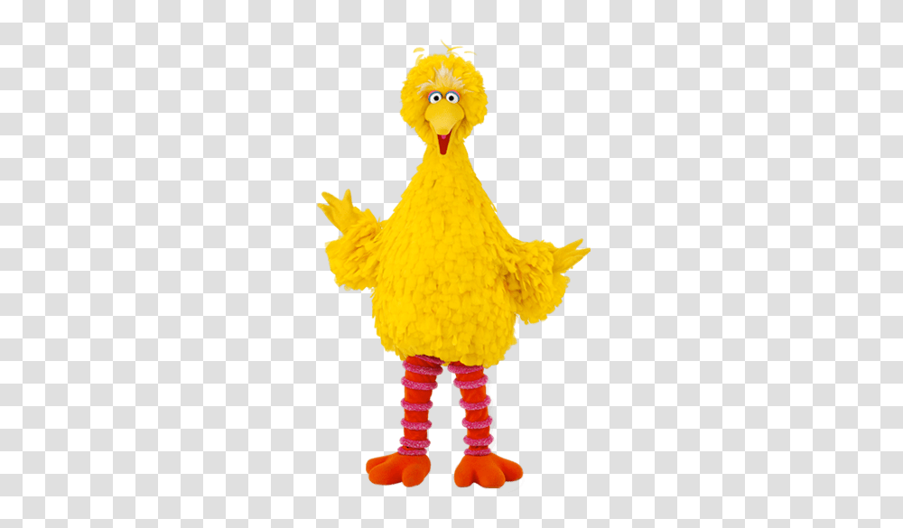 Sesame Street Big Bird, Animal, Fowl, Poultry, Chicken Transparent Png