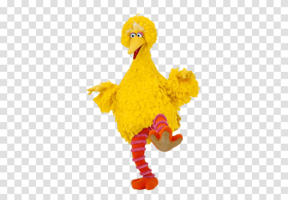 Sesame Street Big Bird, Chicken, Poultry, Fowl, Animal Transparent Png