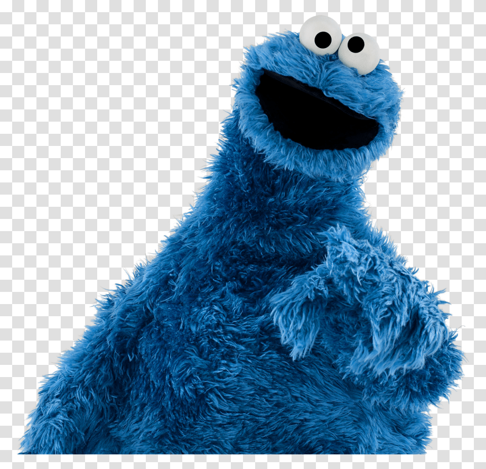 Sesame Street Characters Cookie Monster And Grouch, Toy, Plush, Mascot Transparent Png
