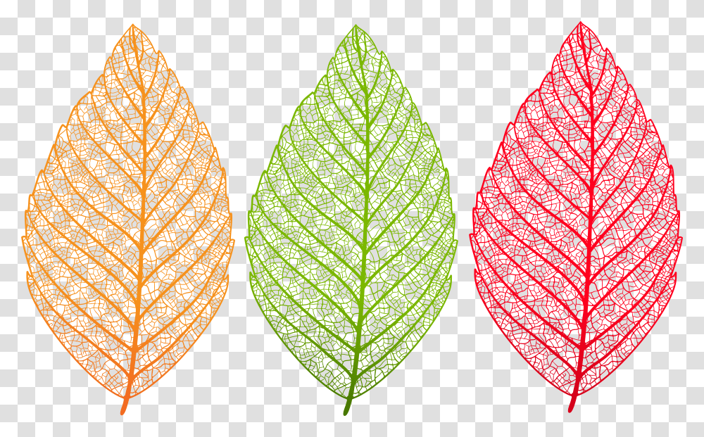 Set Clip Art Leaf Clipart Transparent Png