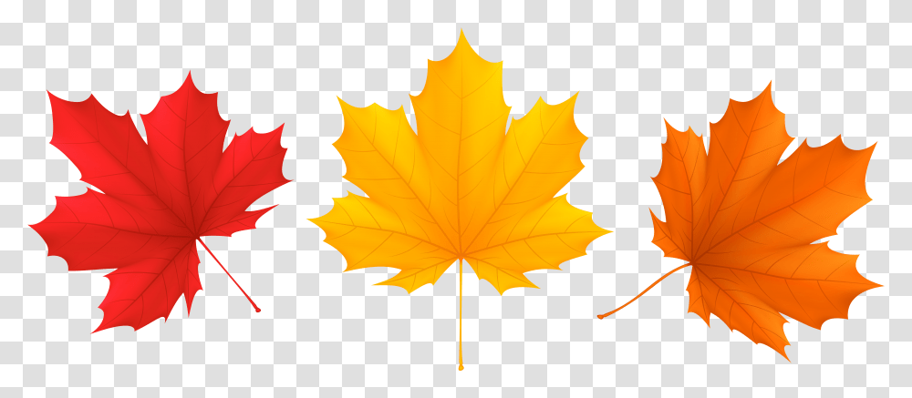 Set Fall Leaves Clip Art Image Gallery Yopriceville Clip Art Fall Leaves, Leaf, Plant, Tree, Maple Leaf Transparent Png