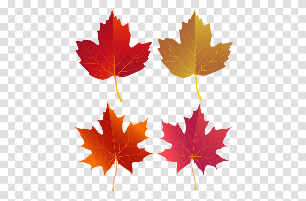 Set Of Autumn Leaves Clip Art Autumn, Leaf, Plant, Tree, Maple Transparent Png