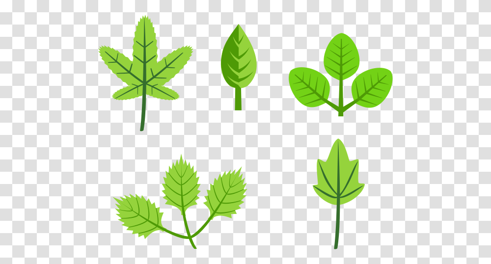 Set Of Leaves Clip Arts For Web, Leaf, Plant, Green, Vegetation Transparent Png