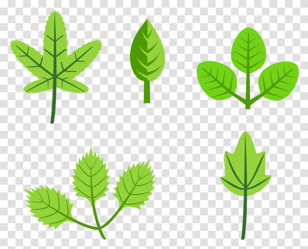 Set Of Leaves Clip Arts Leaves Clip Art, Leaf, Plant, Green, Vegetation Transparent Png