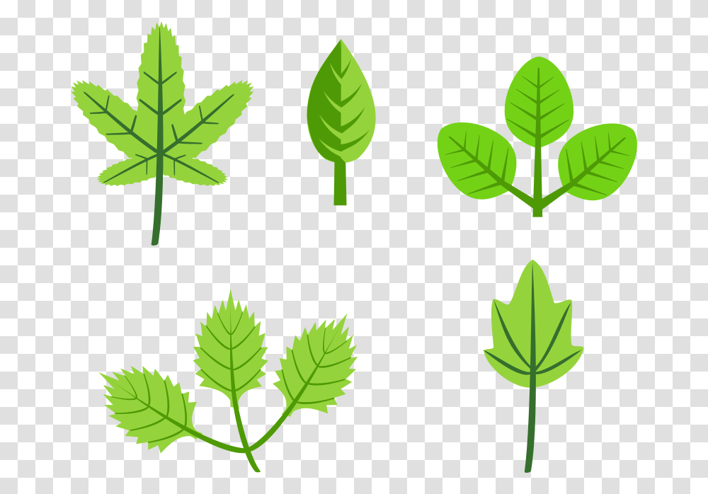 Set Of Leaves, Nature, Leaf, Plant, Green Transparent Png