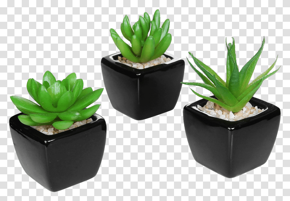 Set Of Modern Home Decor Mini Succulent Small Fake Plant Decor, Aloe, Leaf, Pot, Flower Transparent Png