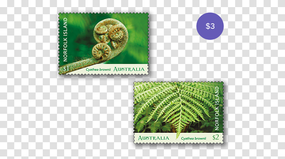 Set Of Norfolk Island Tree Fern Stamps, Plant, Snake, Reptile, Animal Transparent Png