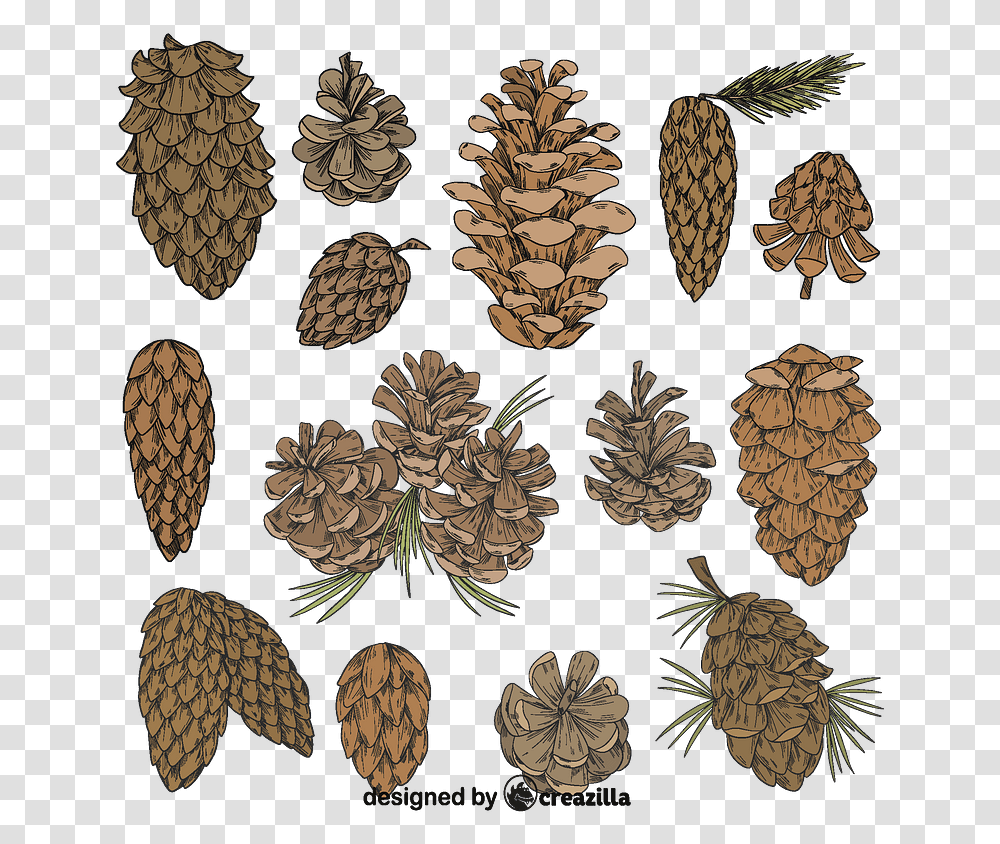 Set Of Pine Cone Vector Pine, Pattern, Plant, Rug, Bronze Transparent Png