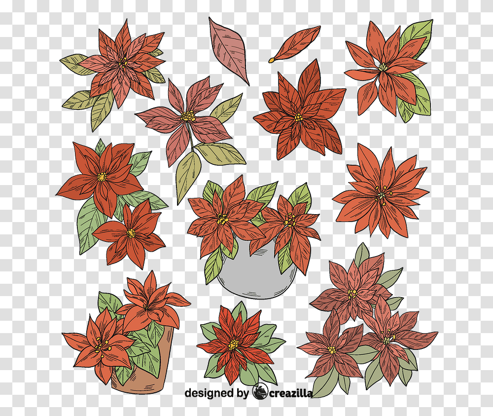 Set Of Poinsettia Vector Floral Design, Leaf, Plant, Tree, Maple Leaf Transparent Png