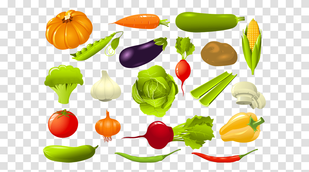 Set Of Vegetables Clipart, Plant, Food, Produce, Cabbage Transparent Png