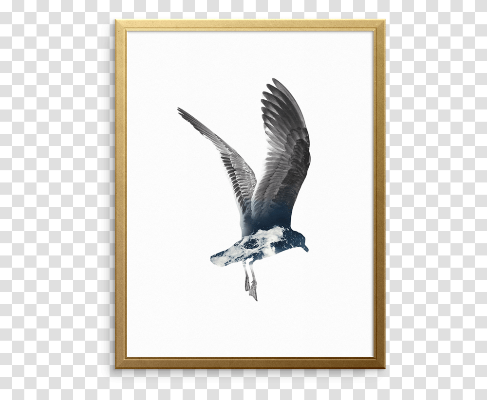 Set Sail Wall Art Print Great Black Backed Gull, Bird, Animal, Flying, Seagull Transparent Png