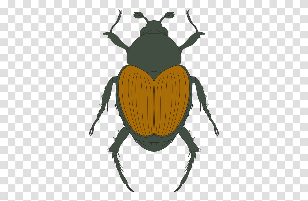 Set Use Green And Brown Beetle Icon Parasitism, Insect, Invertebrate, Animal, Dung Beetle Transparent Png