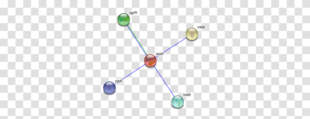 Seta Protein Circle, Network, Sphere, Astronomy, Outer Space Transparent Png