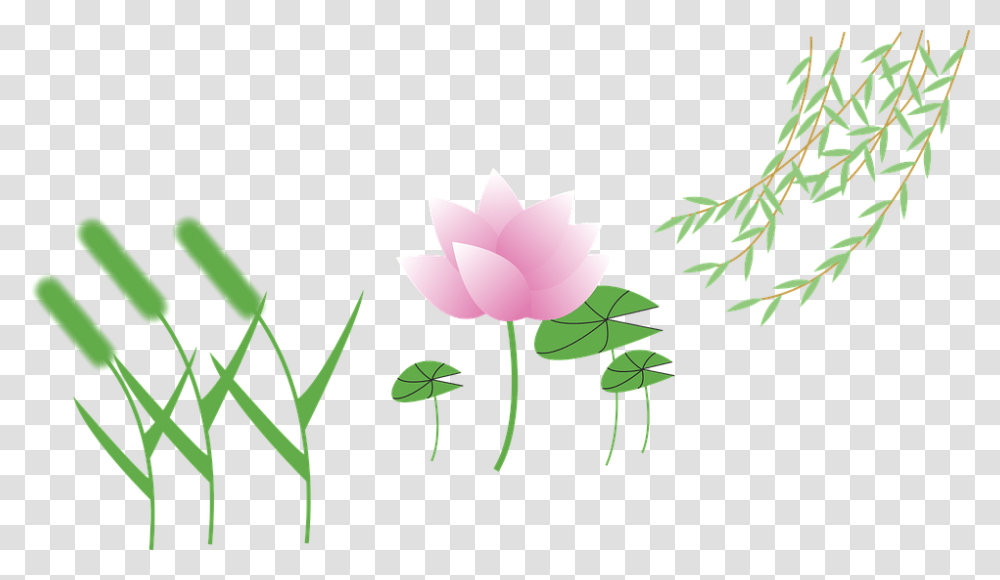 Setaria Cartoon, Plant, Leaf, Green, Flower Transparent Png