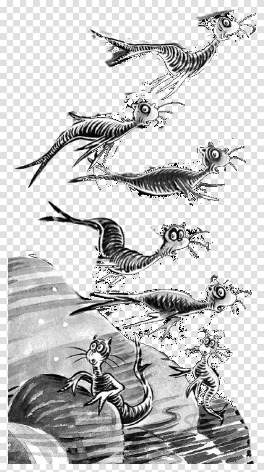 Seuss Wiki, Bird, Animal, Drawing Transparent Png