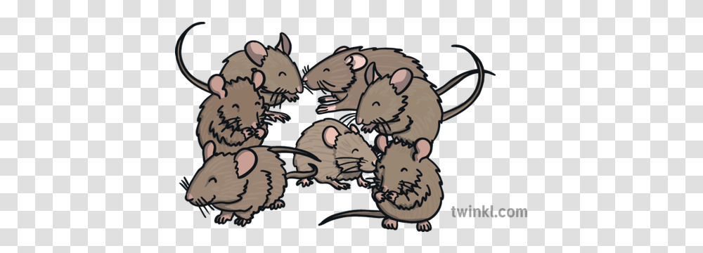 Seven Mice Illustration Rat, Rodent, Mammal, Animal, Cat Transparent Png