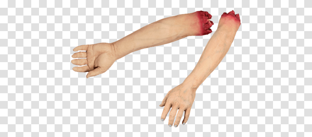 Severed Arm, Person, Human, Hand, Finger Transparent Png