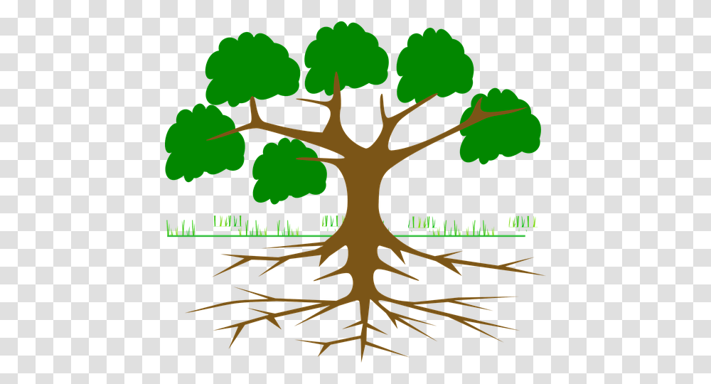 Sewer Problems Tree Roots, Plant, Soil Transparent Png
