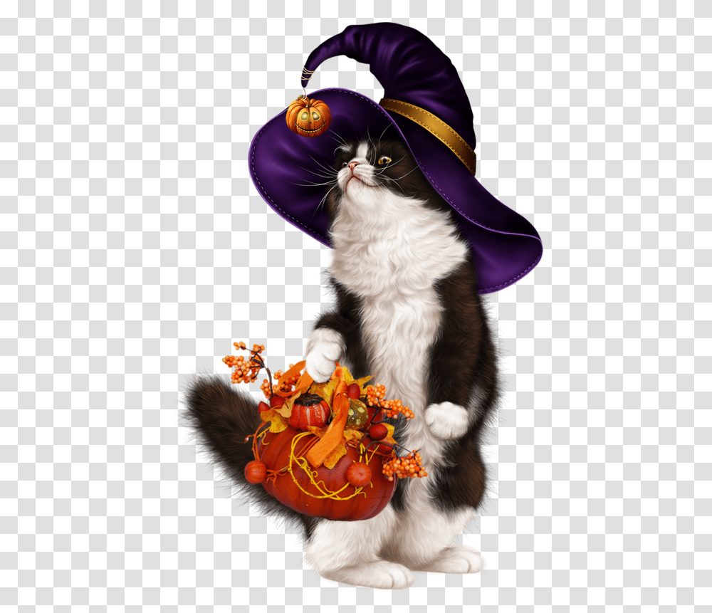 Sexy Halloween 3chatcitrouille Halloween Citrouille Kitten, Mammal, Animal, Clothing, Cat Transparent Png
