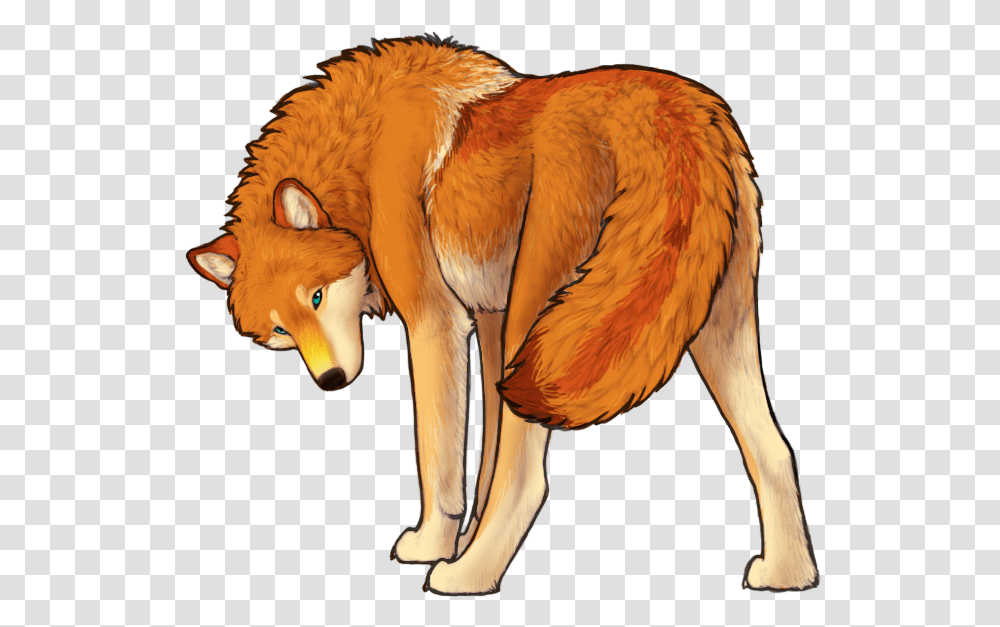 Sexy Kate Red Fox, Mammal, Animal, Wildlife, Canine Transparent Png