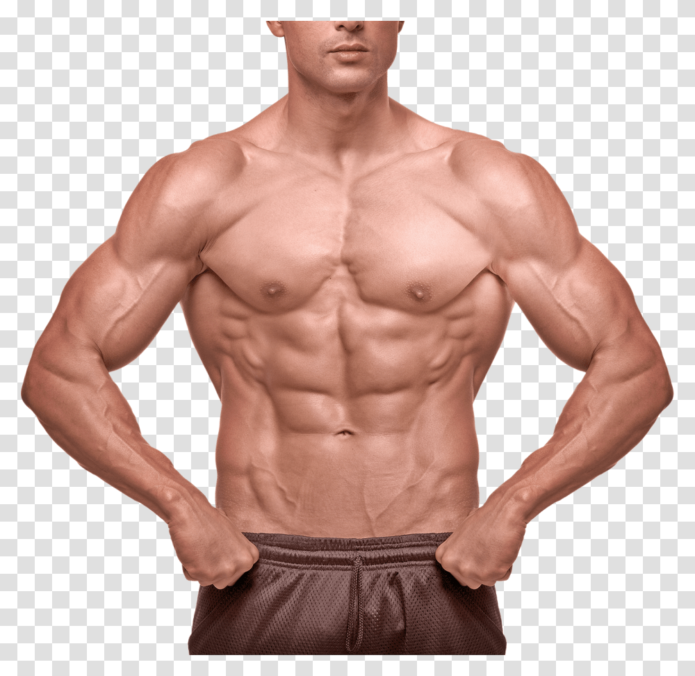 Мышцы мужчины