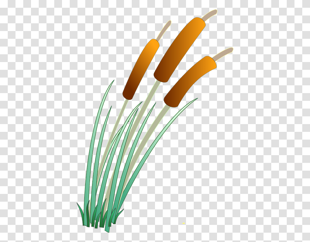 Sgnrclf Reeds Clipart, Plant, Wire, Adapter, Cable Transparent Png