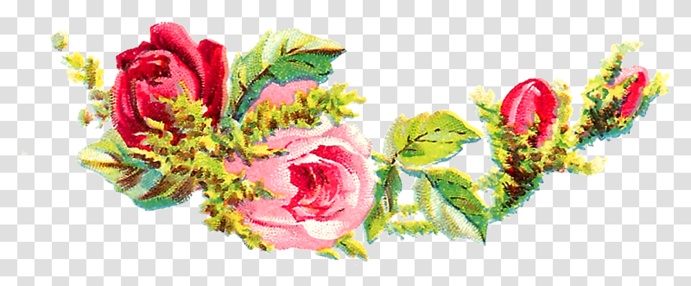 Shabby Chic Florals, Plant, Flower, Blossom, Rose Transparent Png