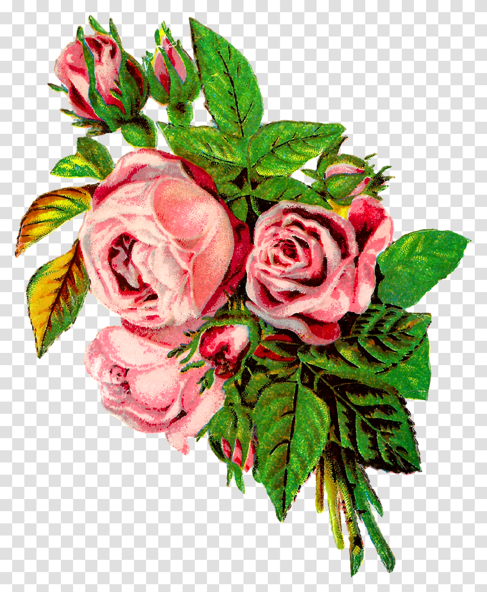 Shabby Chic Vintage Rose Clip Art, Plant, Flower, Blossom, Flower Bouquet Transparent Png