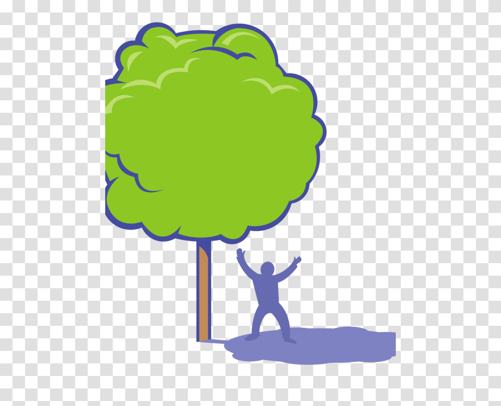 Shade Tree Drawing Computer Icons, Plant Transparent Png